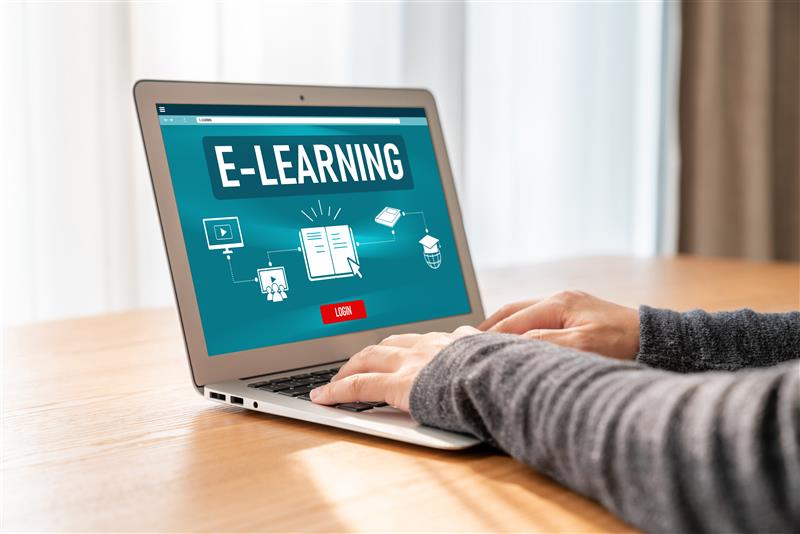 Take Beginner-Friendly Courses